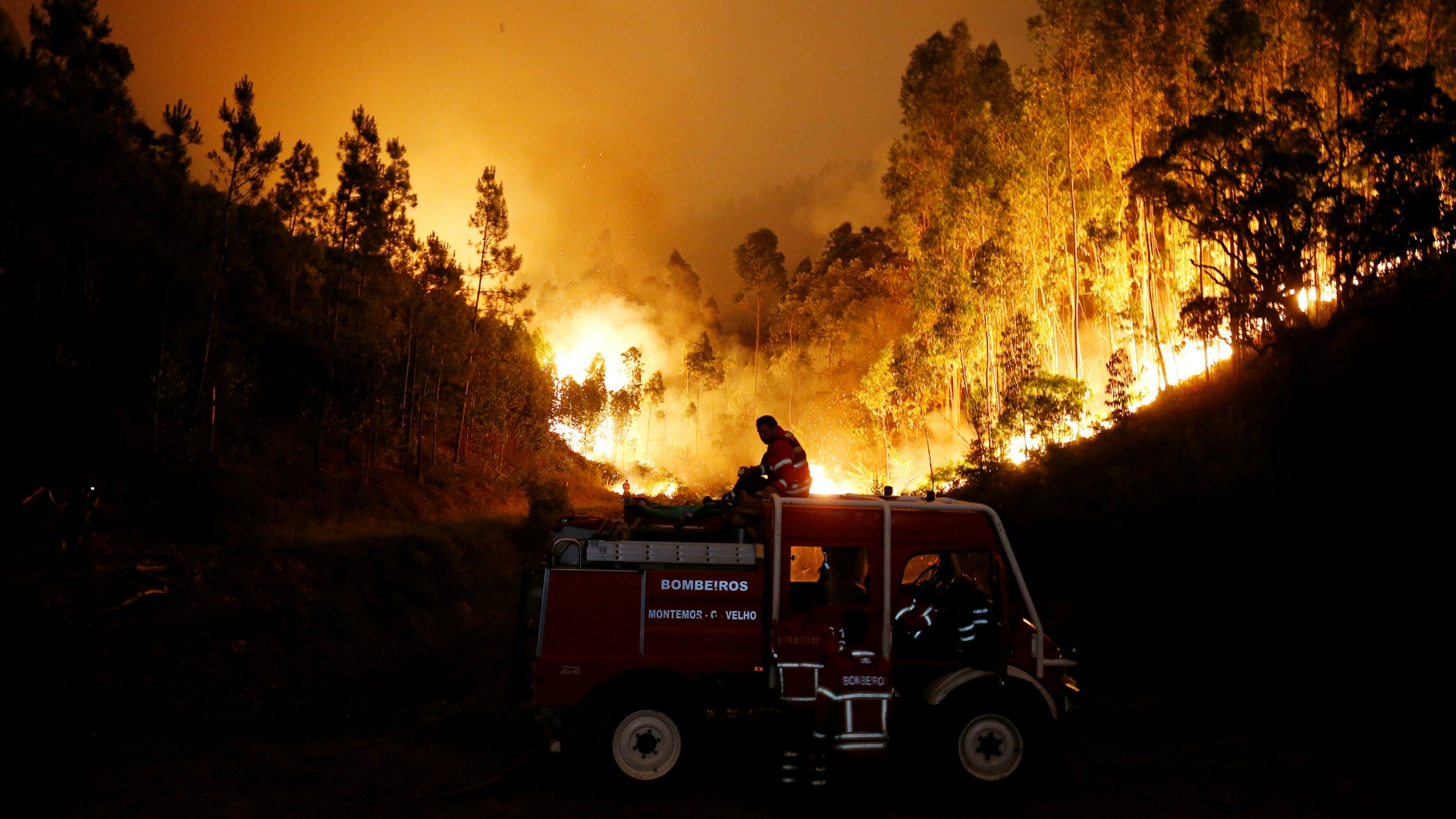 Al menos 62 fallecidos por un incendio forestal en Portugal