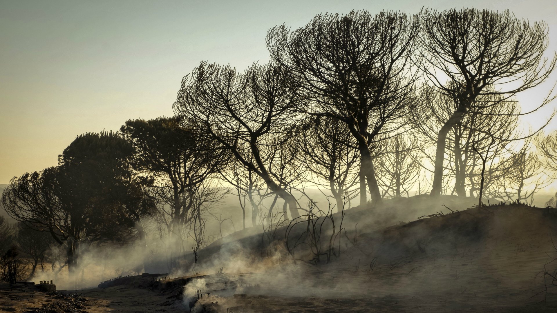 Continúa activo el incendio en el entorno de Doñana 3