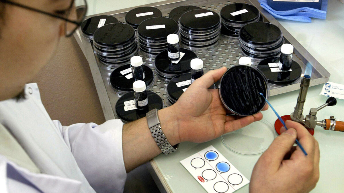 Científicos descubren un antibiótico eficaz contra bacterias resistentes