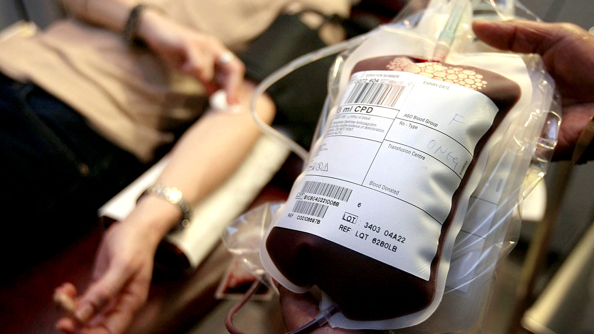 ‘Dona ahora. Dona a menudo’, el lema del Día Mundial del Donante de Sangre