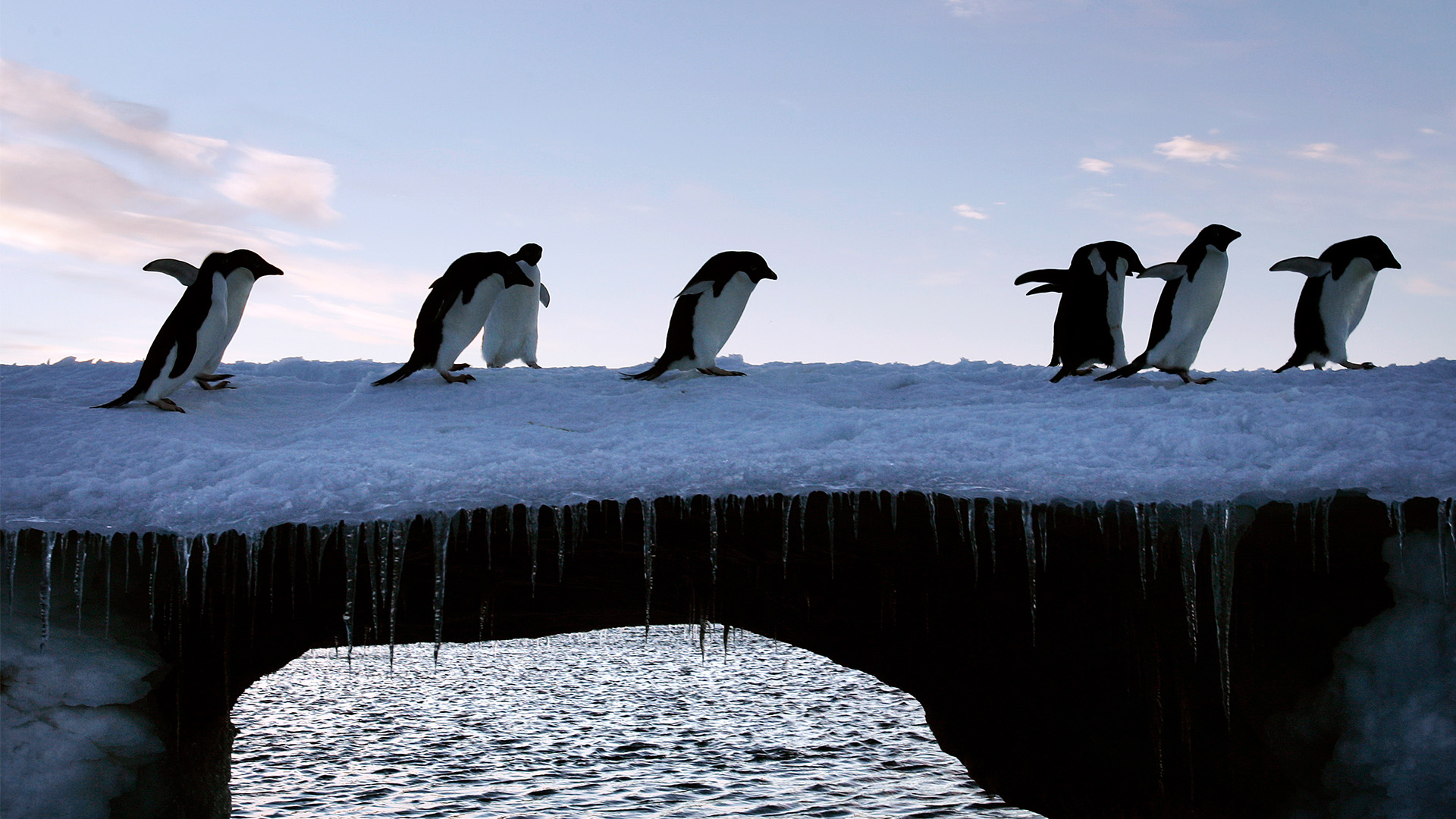 Un estudio asegura que el cambio climático derretirá el 25% de la Antártida antes de 2100