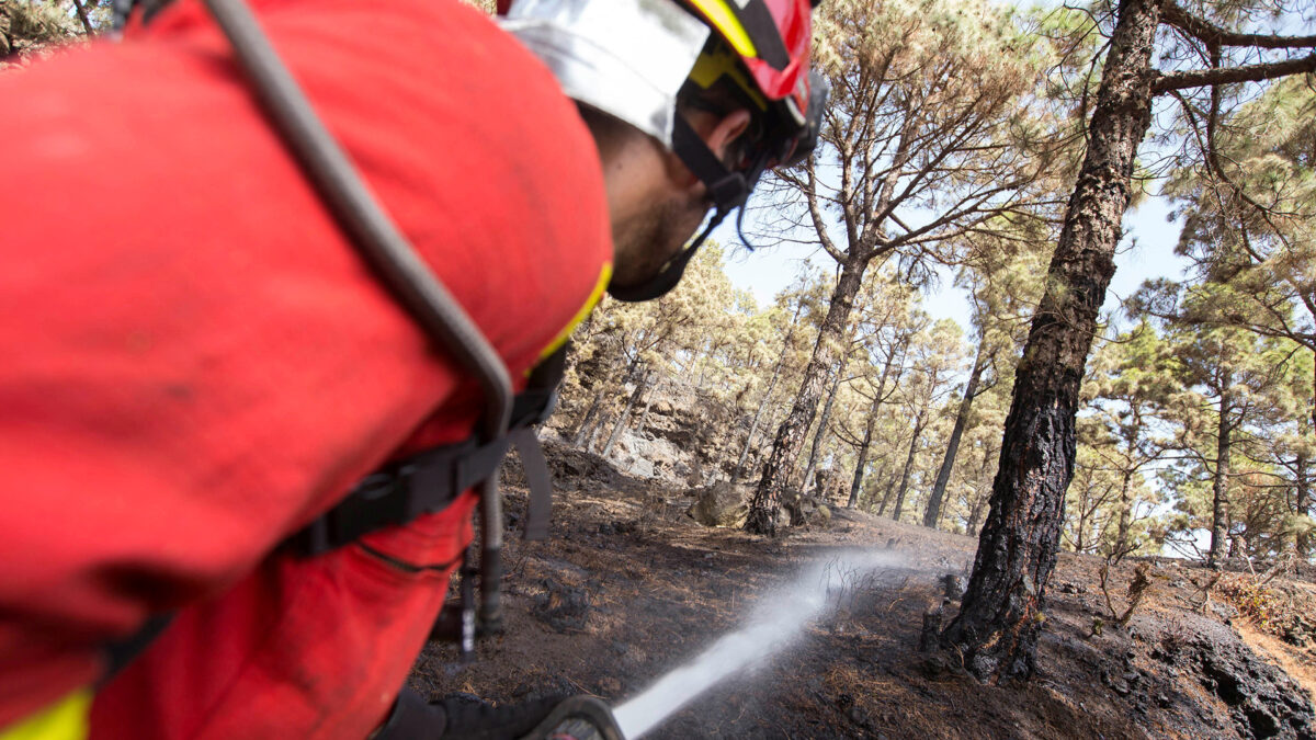 El fuerte viento complica las labores de extinción de un incendio en la Comunidad Valenciana