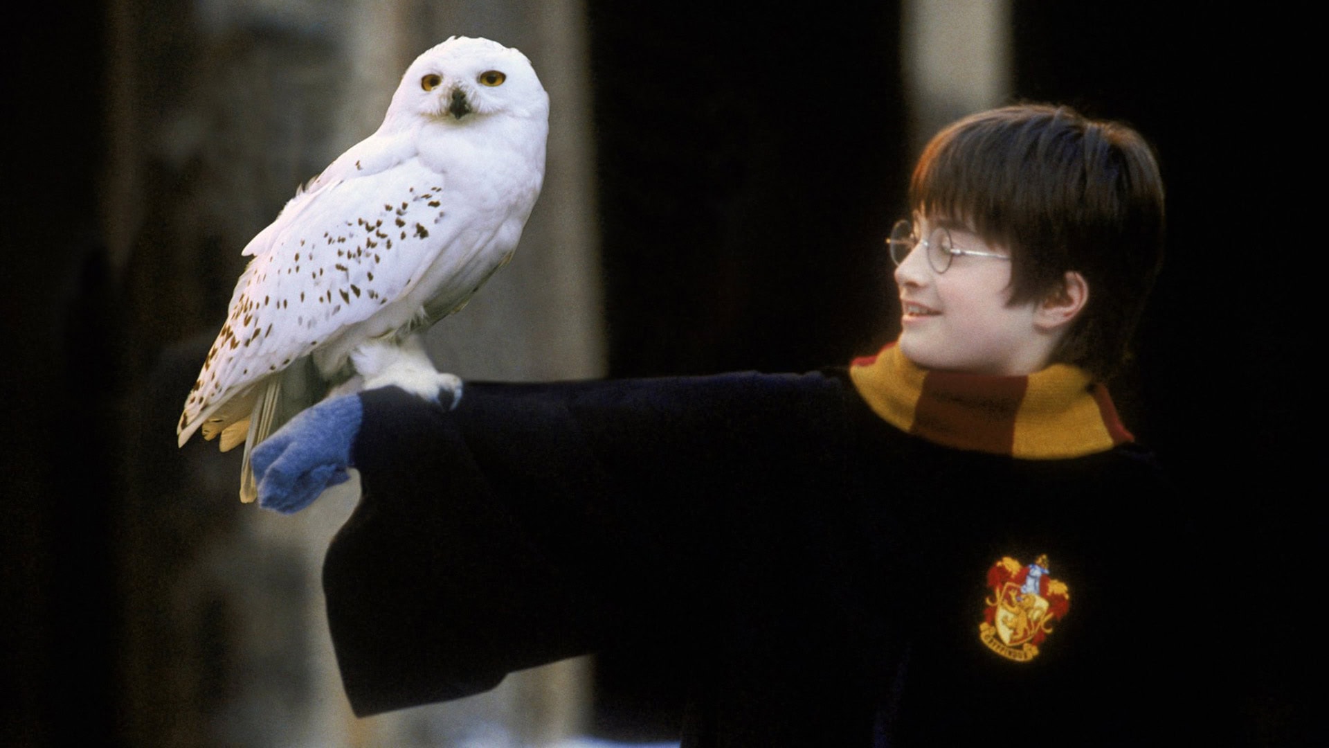 Las distintas formas de adentrarse en el universo Harry Potter