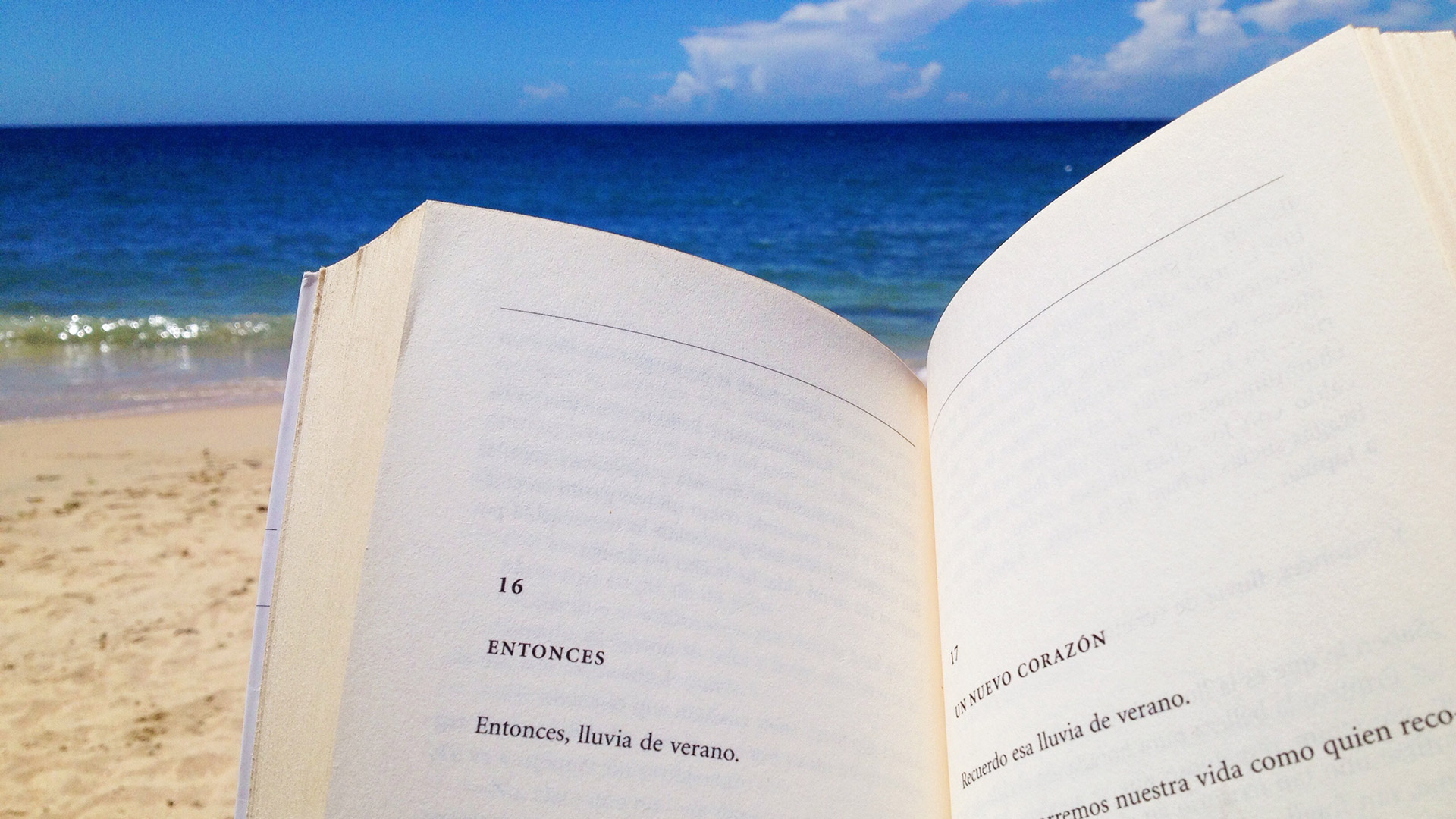 Letras frescas: 9 libros imperdibles para leer en verano