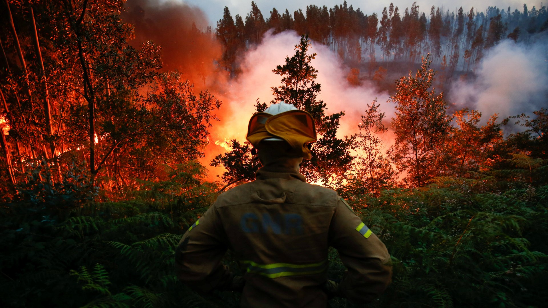 Portugal llora a sus más de 60 fallecidos en el voraz incendio forestal