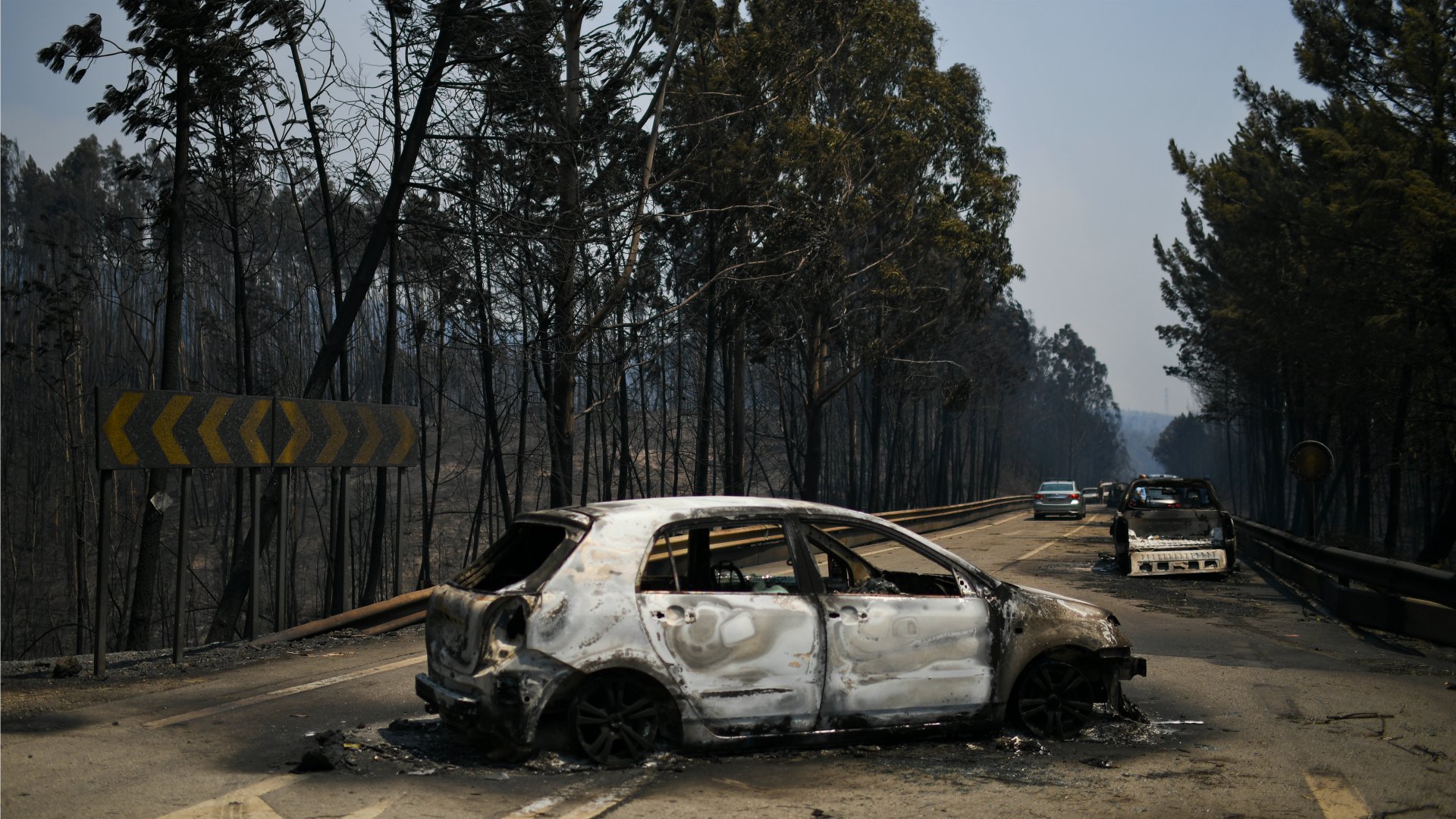 Luto en Portugal por las víctimas del incendio forestal 2