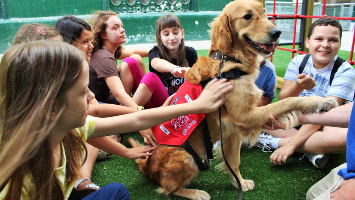 Taller de lectura con perros en la Feria del Libro de Madrid el jueves 8 de junio