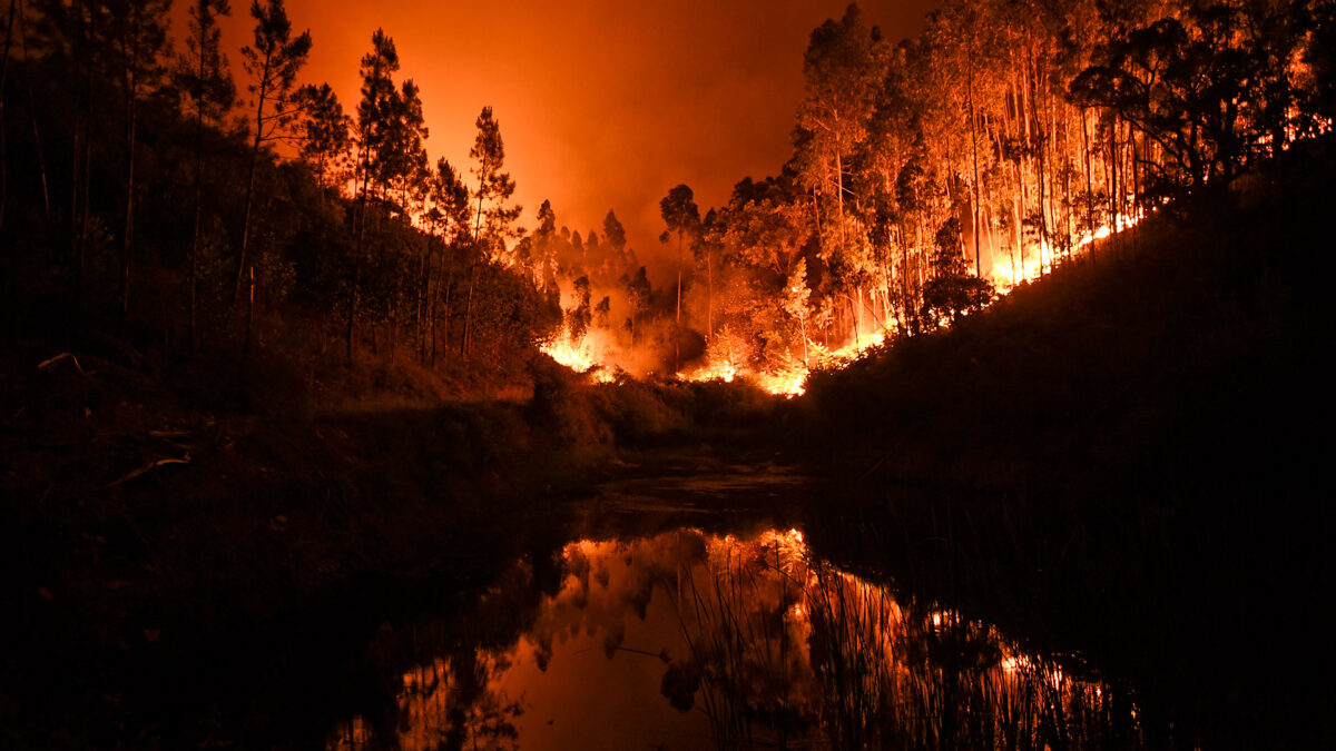 Tormenta ígnea, cuando una tormenta de fuego hace que todo arda en segundos