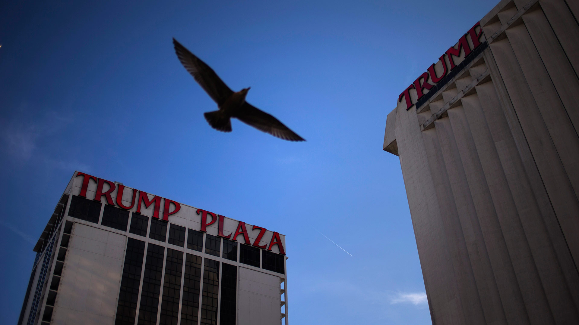 Trump lanza una cadena de hoteles de gama media