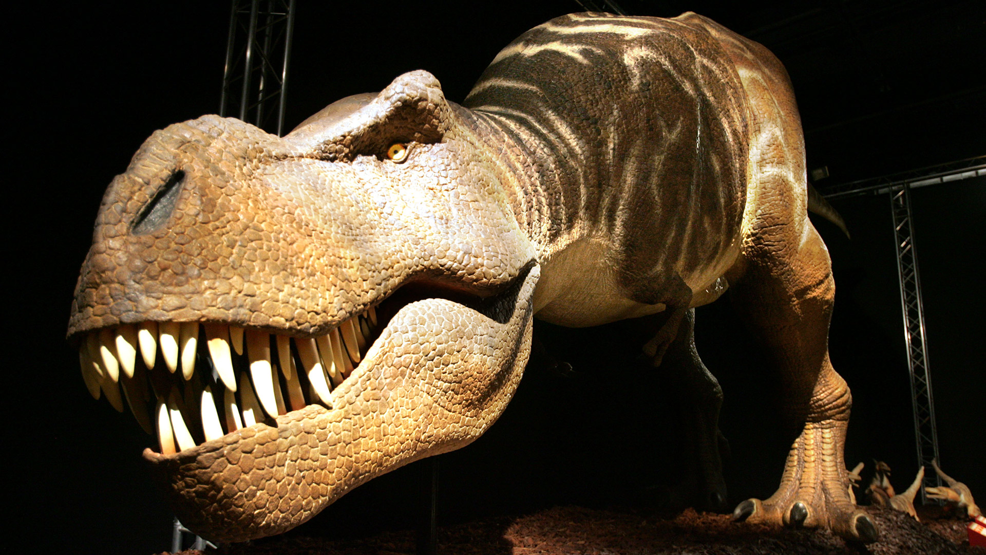 Un estudio confirma que el Tiranosaurio Rex no tenía plumas