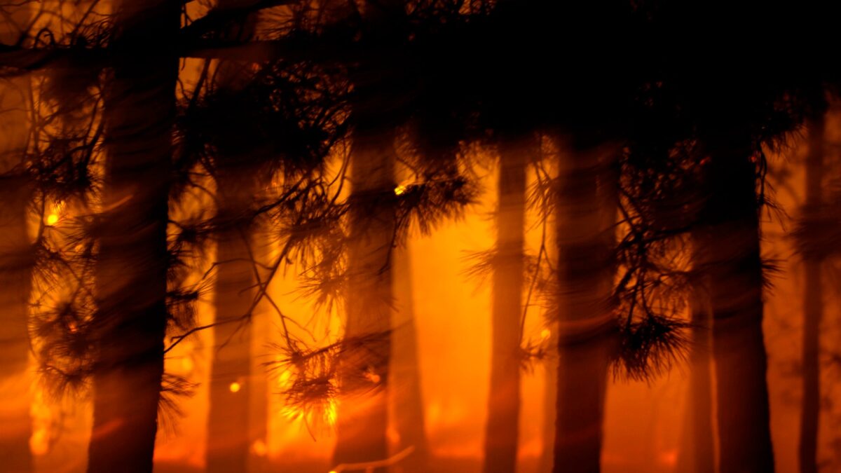 Un incendio obliga a desalojar a miles de personas en Moguer, junto a Doñana