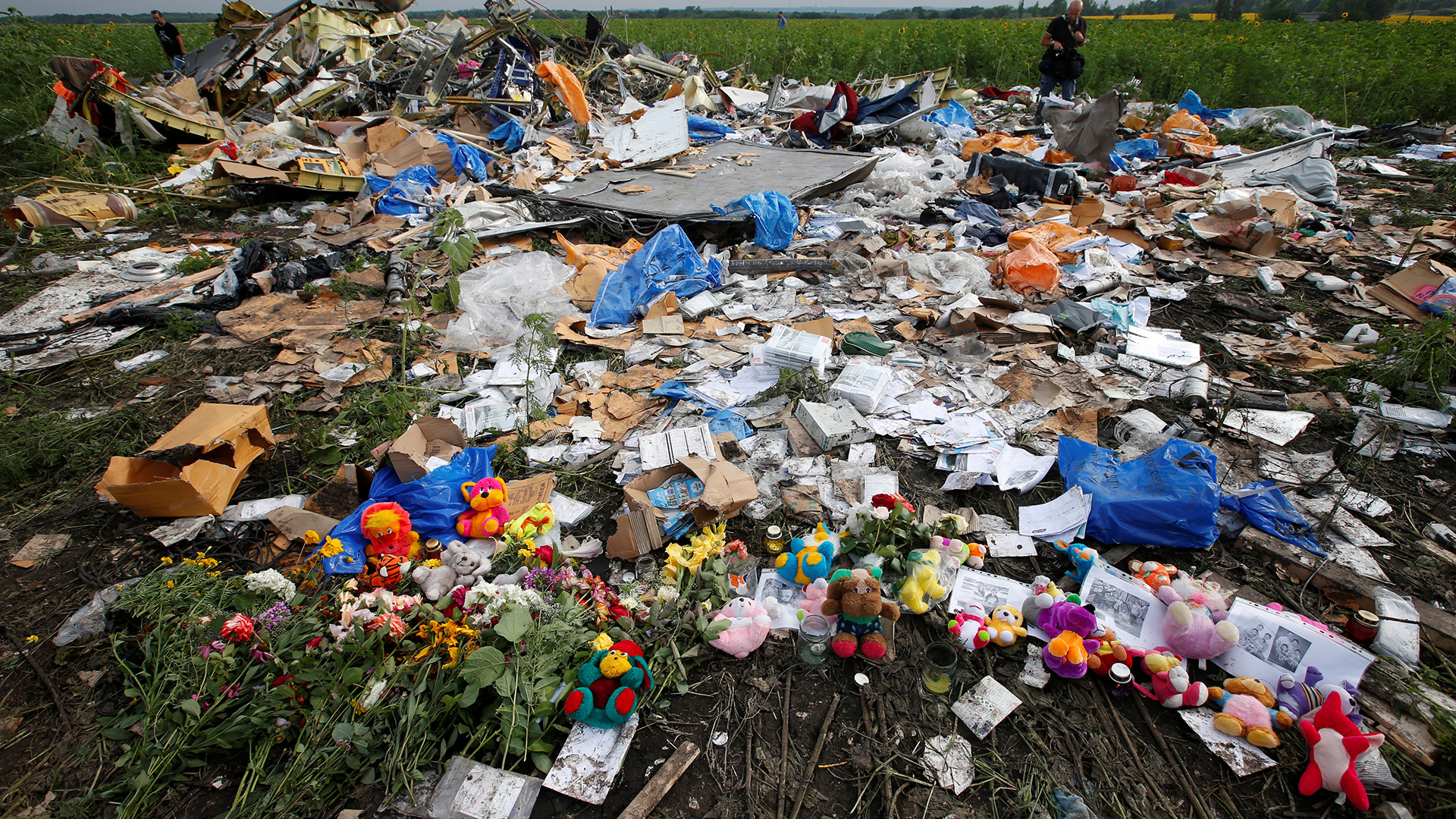 298 árboles homenajean a las víctimas del vuelo MH17 2
