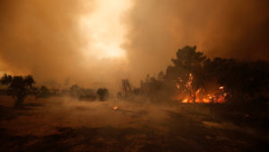 Francia y Portugal piden ayuda a Europa para luchar contra los incendios forestales 1