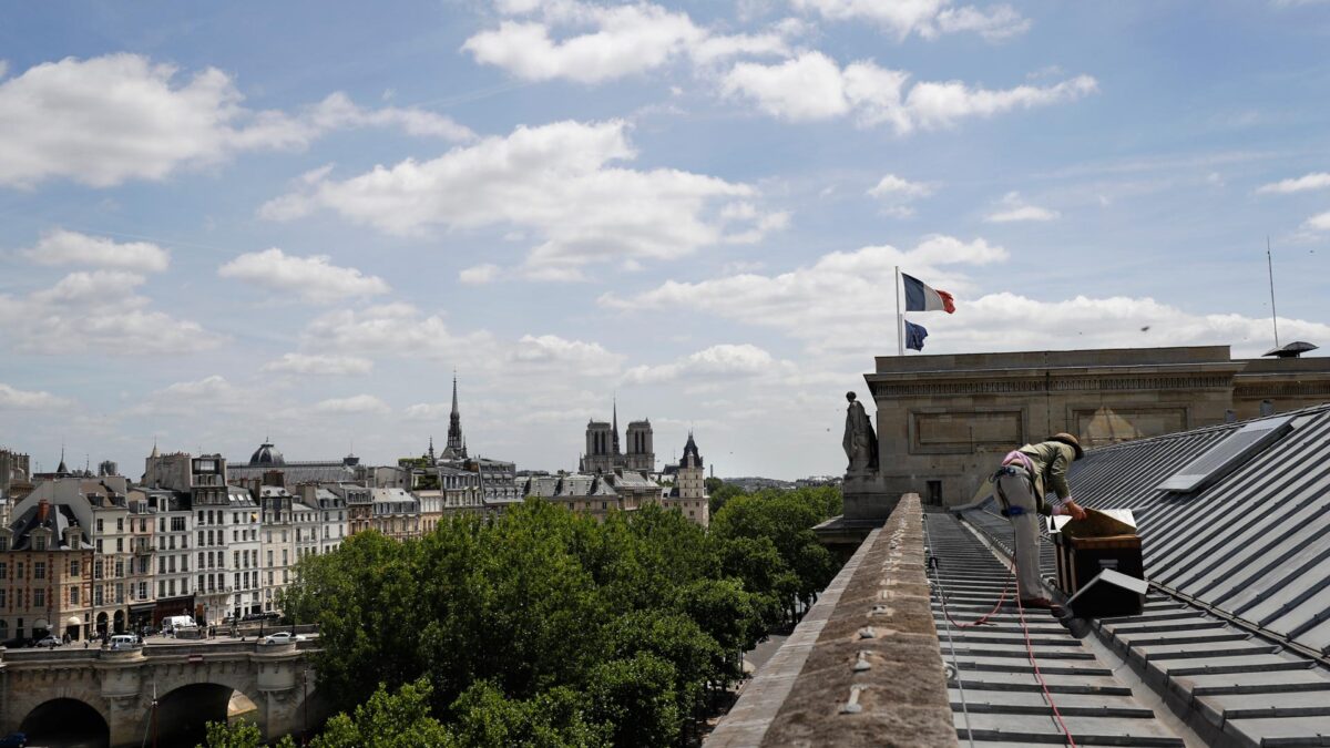 La Catedral de Notre Dame se cae a pedazos