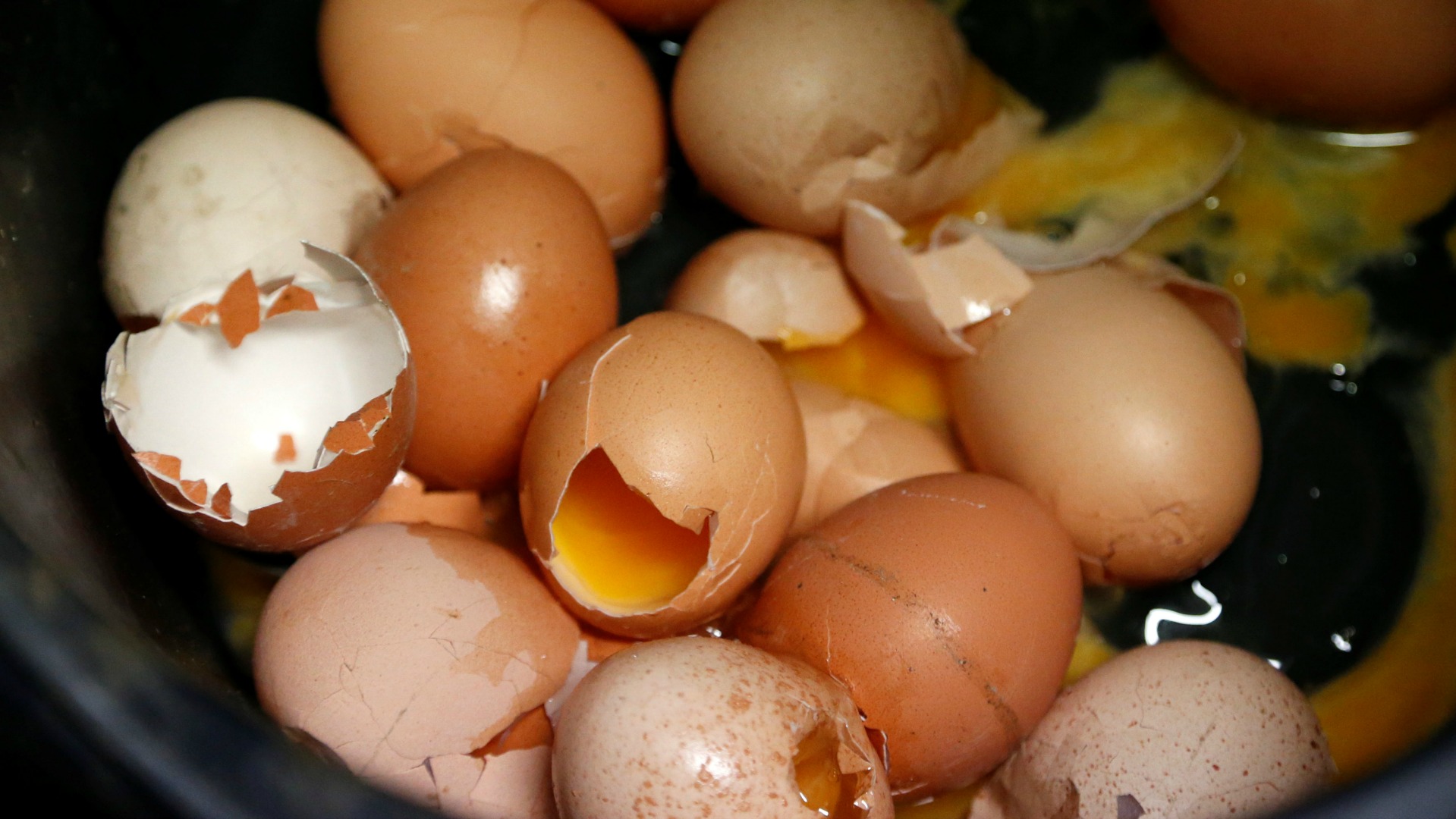 Bélgica denuncia que el gobierno holandés detectó insecticida en huevos en noviembre de 2016