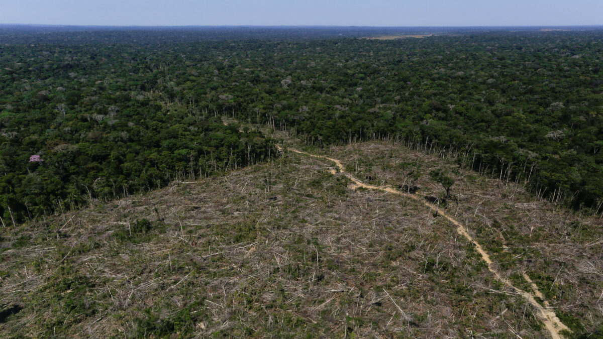 Brasil abre su gran reserva amazónica a la minería privada