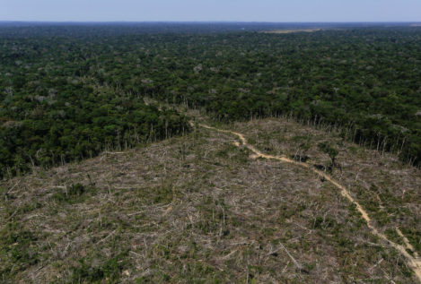 Brasil abre su gran reserva amazónica a la minería privada