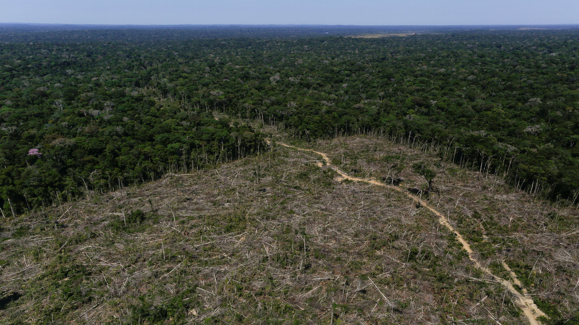 Brasil abre su gran reserva amazónica a la minería privada