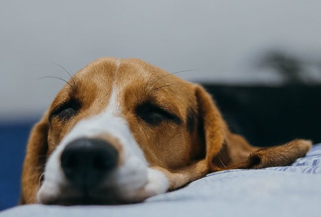 Dormir en verano es posible: 7 formas de conciliar el sueño sin aire acondicionado