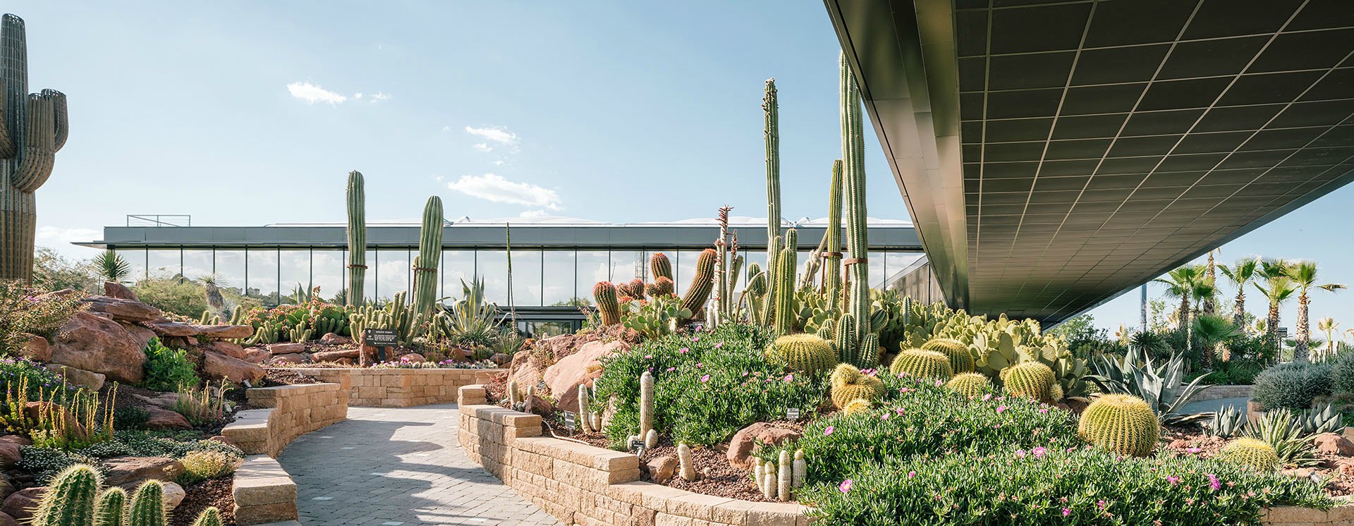 El jardín de cactus más grande de Europa está en Madrid 7