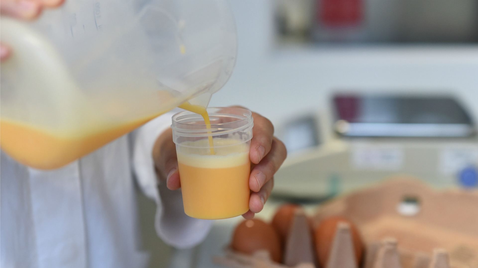 Inmovilizadas en Vizcaya 20.000 unidades de huevo líquido contaminado con fipronil