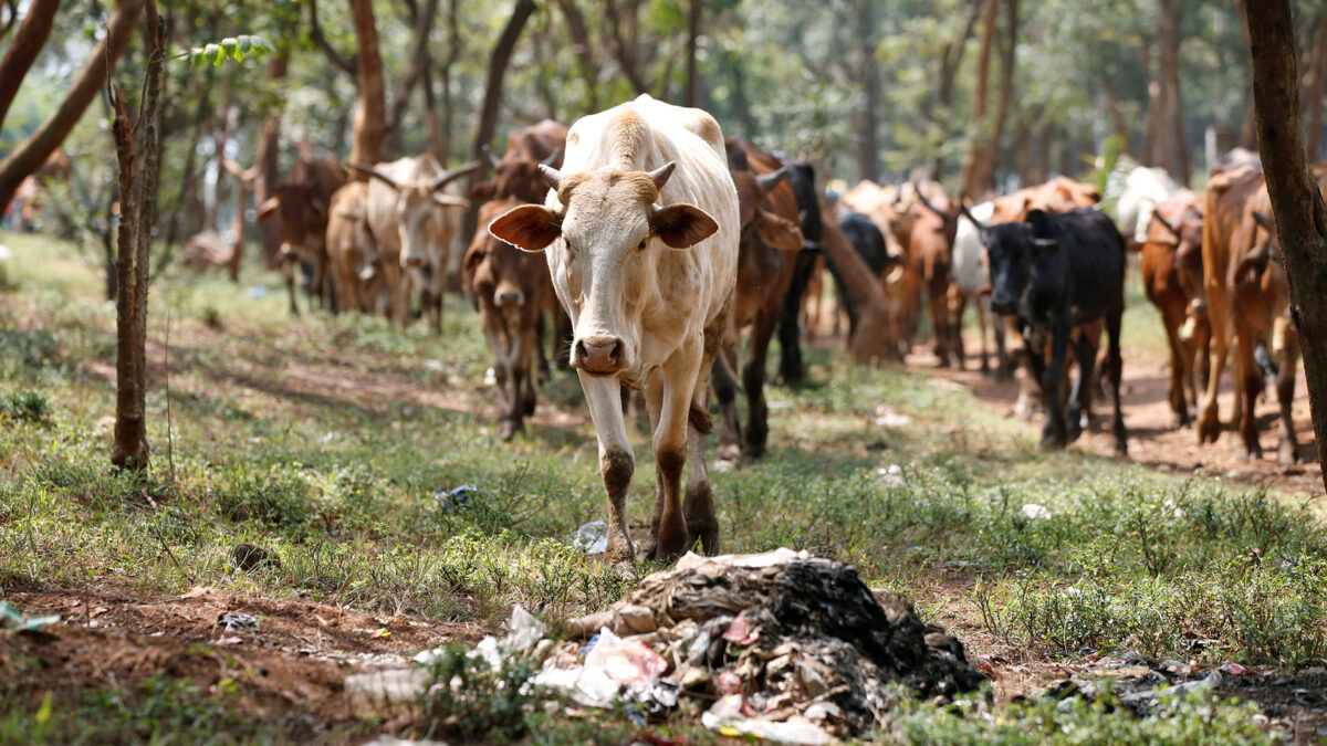 Kenia impone la ley más dura del mundo contra las bolsas de plástico