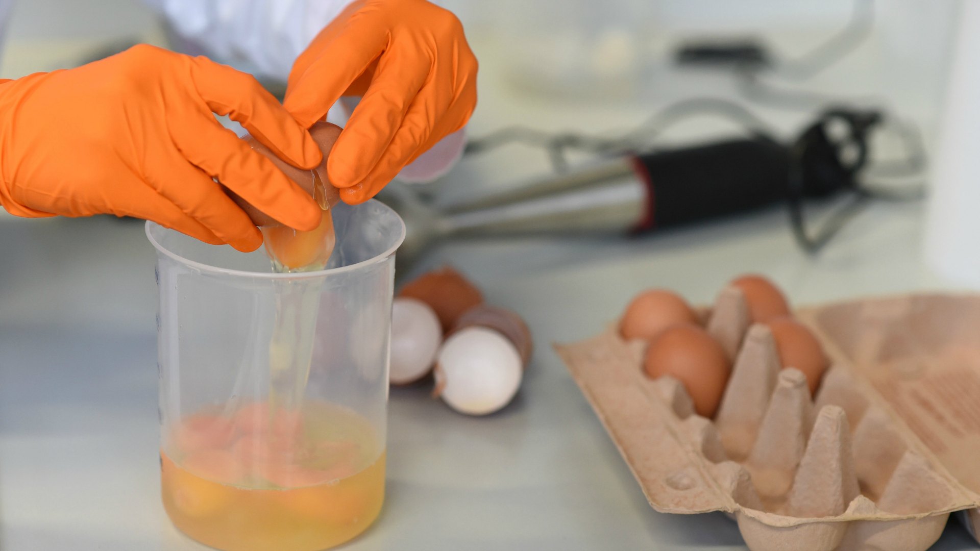 Más de 15 países de la UE y Hong kong, afectados por los huevos contaminados
