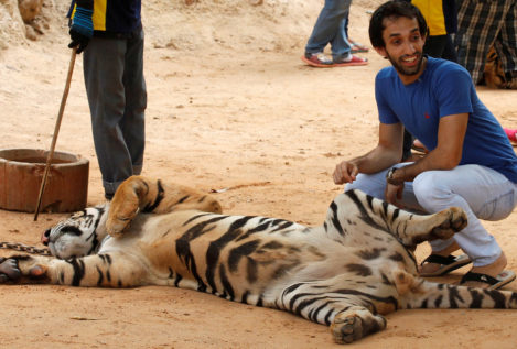 Tinder pide a los usuarios que dejen de publicar fotos con tigres