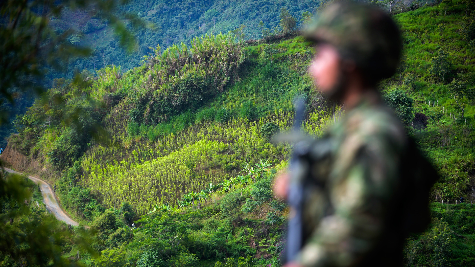 Un policía muerto y otro herido en ataque a una patrulla en Colombia