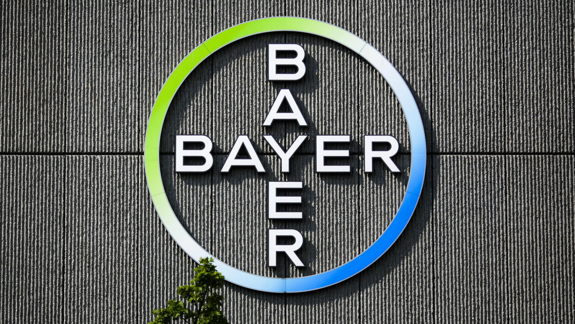Bayer suspende la comercialización del anticonceptivo Essure, salvo en EEUU