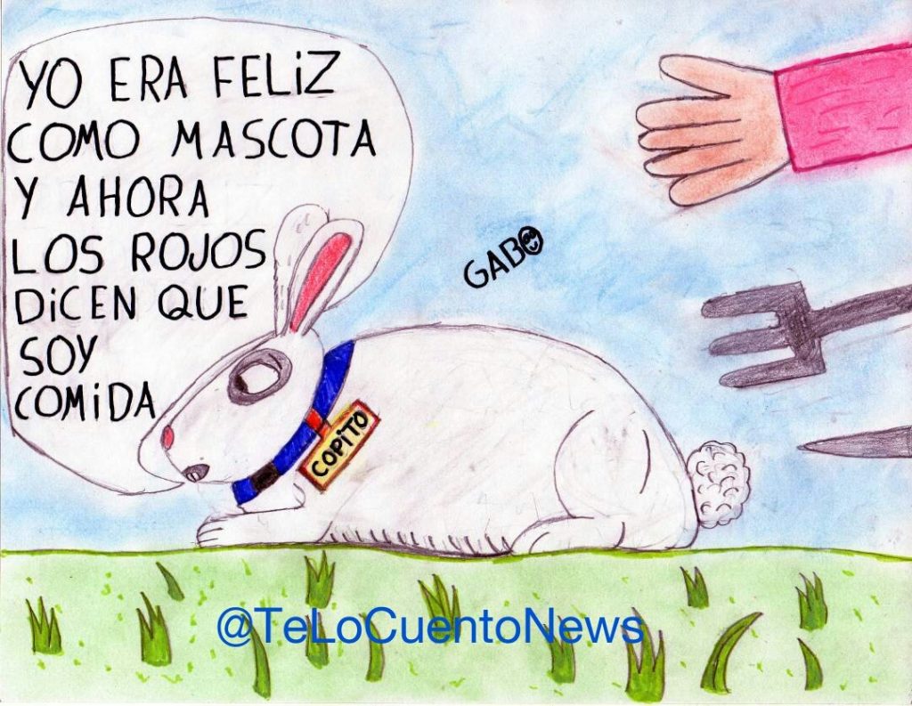 Gabo, el niño que con sus caricaturas retrata la crisis en Venezuela 4