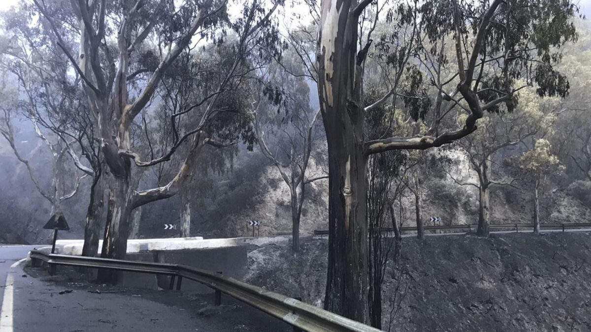 Hallan un cuerpo calcinado en el incendio de Gran Canaria