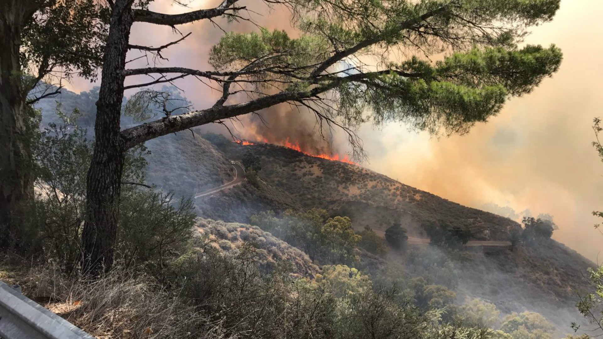 Un incendio en Tejeda obliga a evacuar dos localidades en Gran Canaria