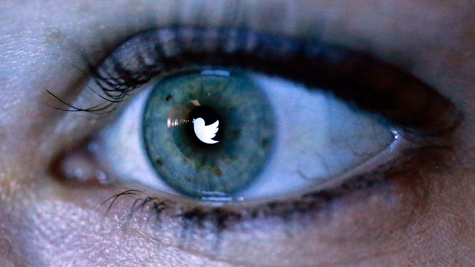 8 cuentas 'fake' de Twitter para echarte unas risas