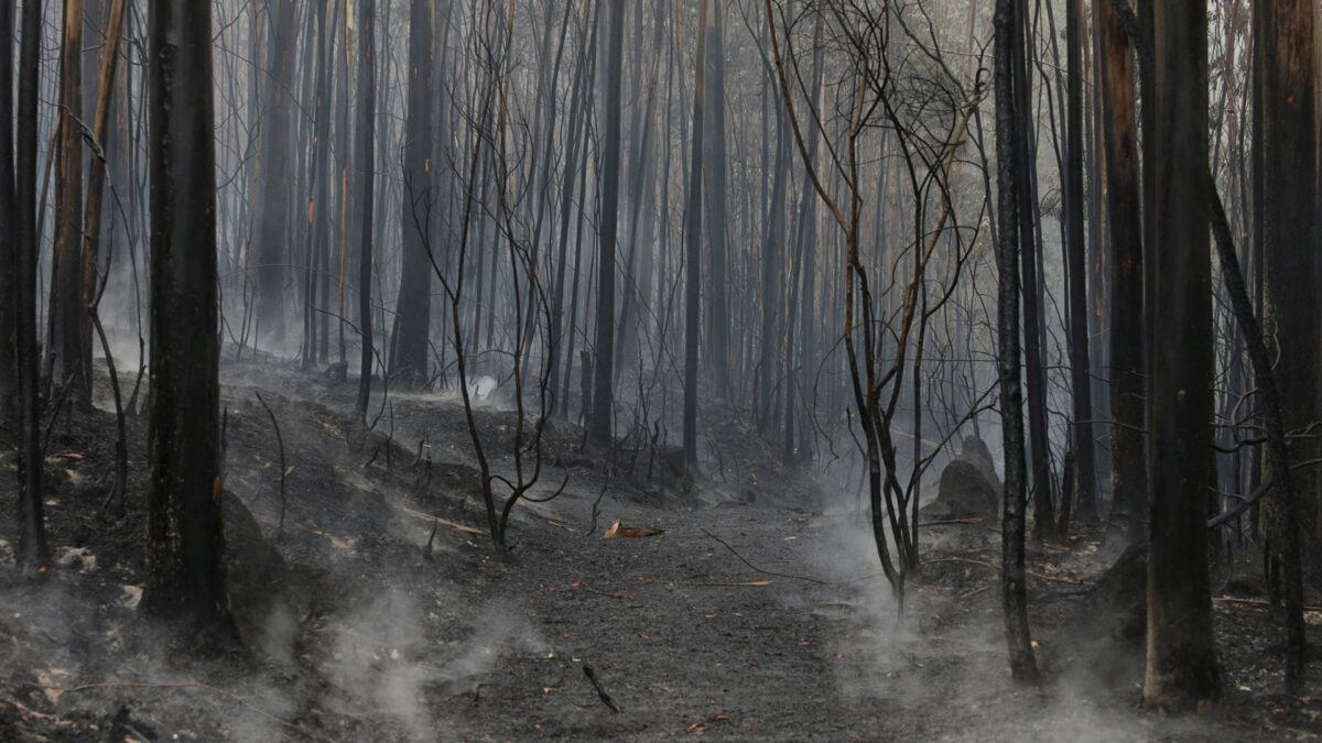 Detenida una vecina de un pueblo de Pontevedra por provocar incendios