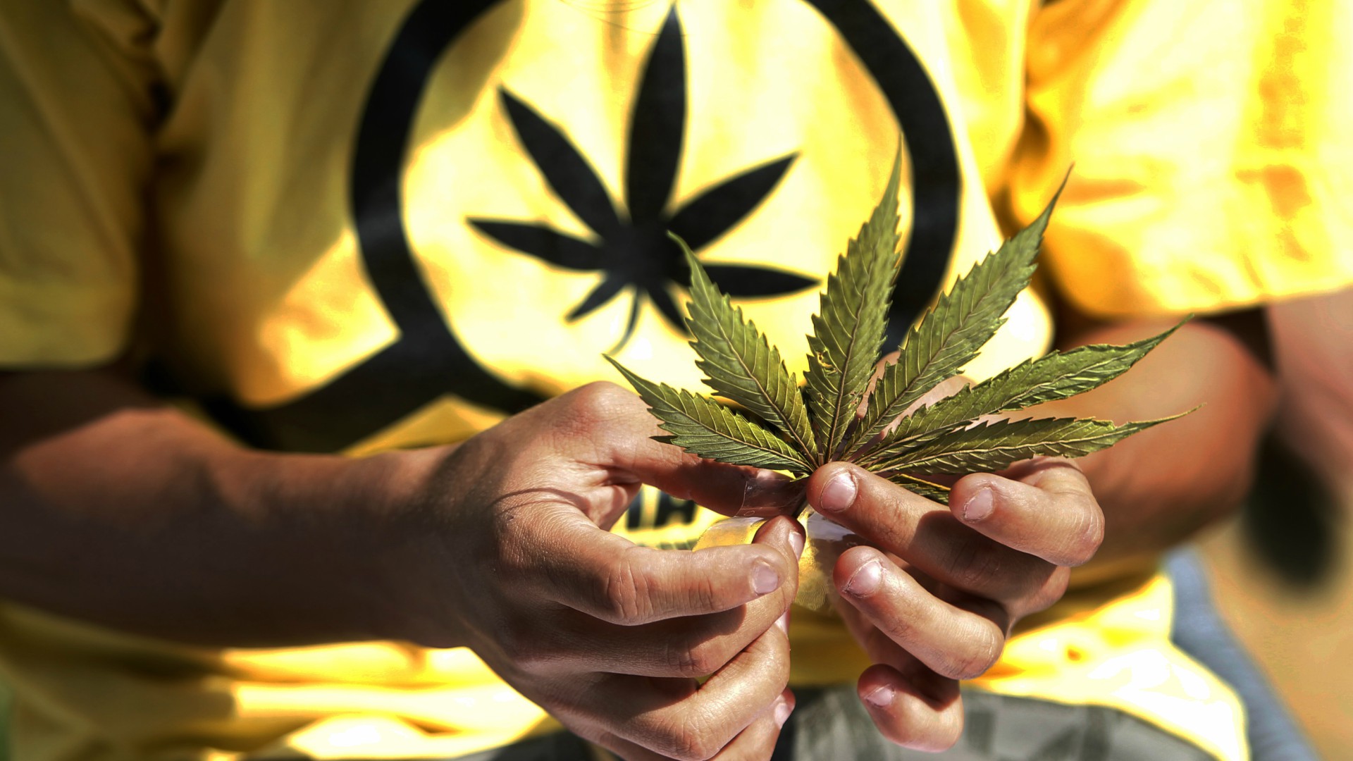 El Congreso de Perú aprueba el uso medicinal de la marihuana