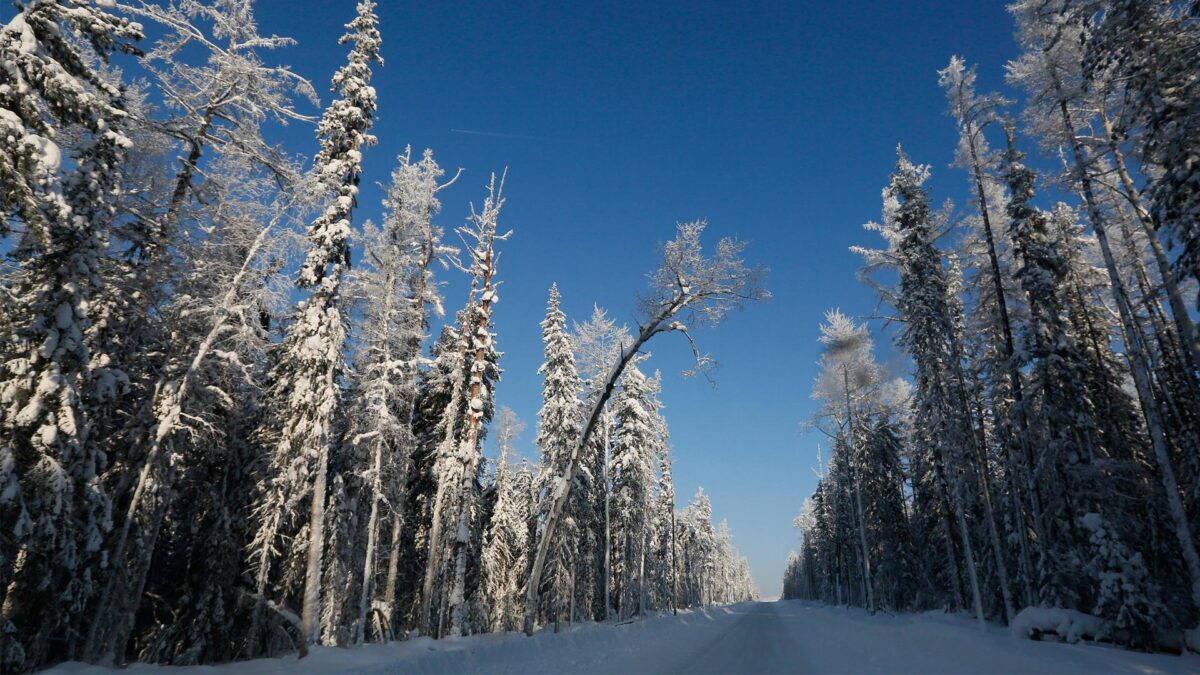 El derretimiento prematuro de la nieve ayuda a absorber el CO2 de la atmósfera