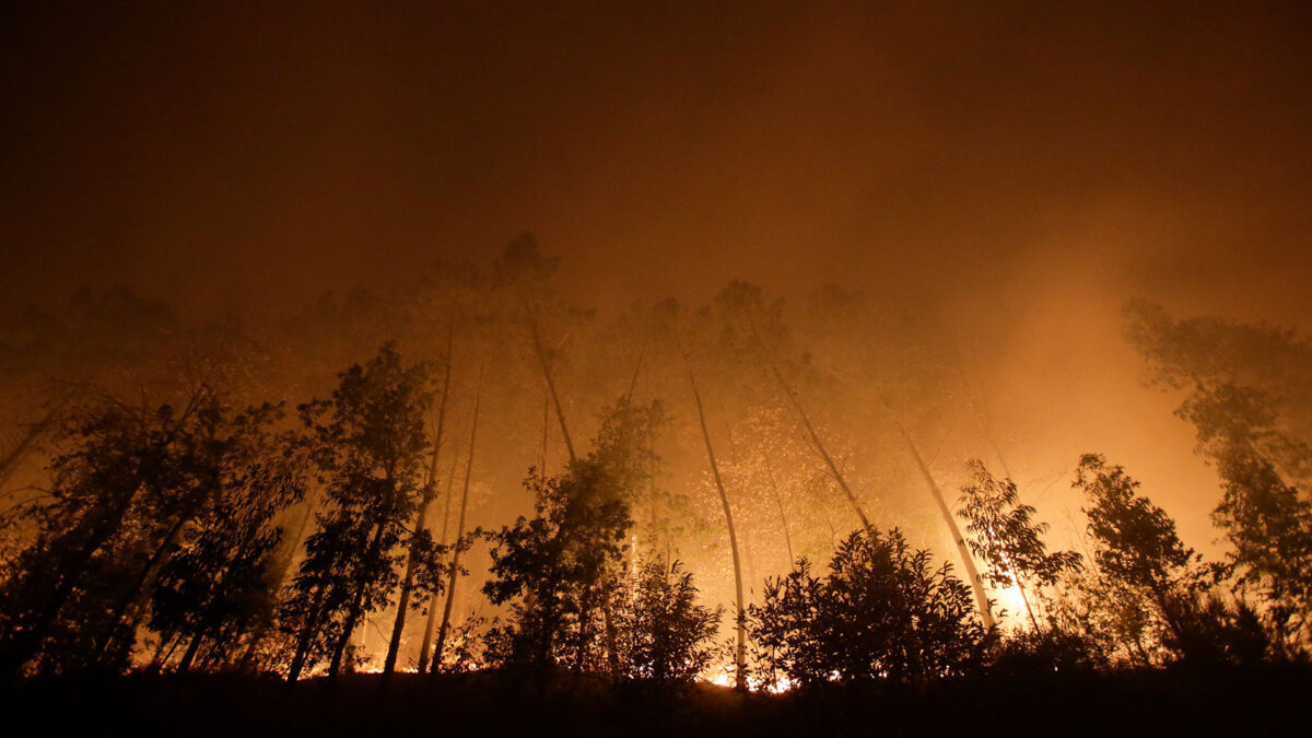 El fuego también arrasa los montes de Asturias