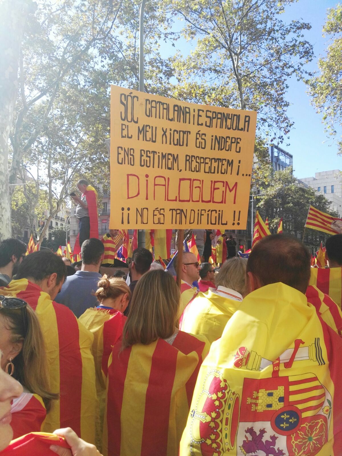 La manifestación a favor de la unidad de España en Barcelona, en imágenes 1