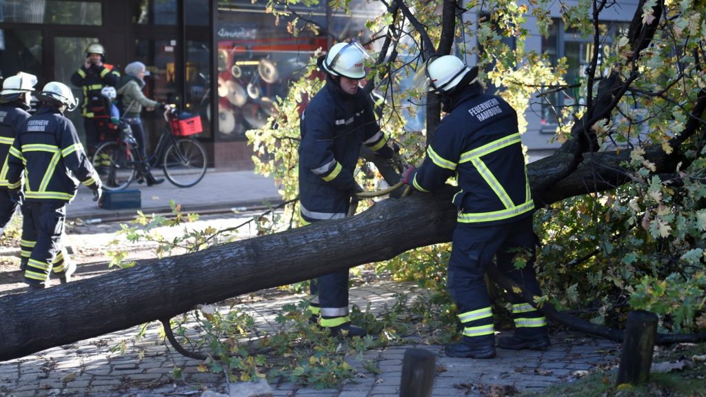 La tormenta 'Herwart' causa al menos siete muertos en Europa central