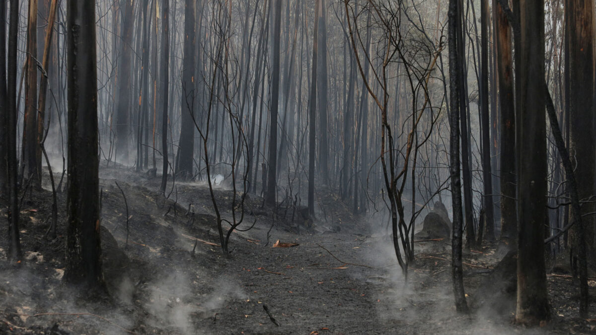 La Xunta aprueba medidas para ayudar a los afectados por los incendios