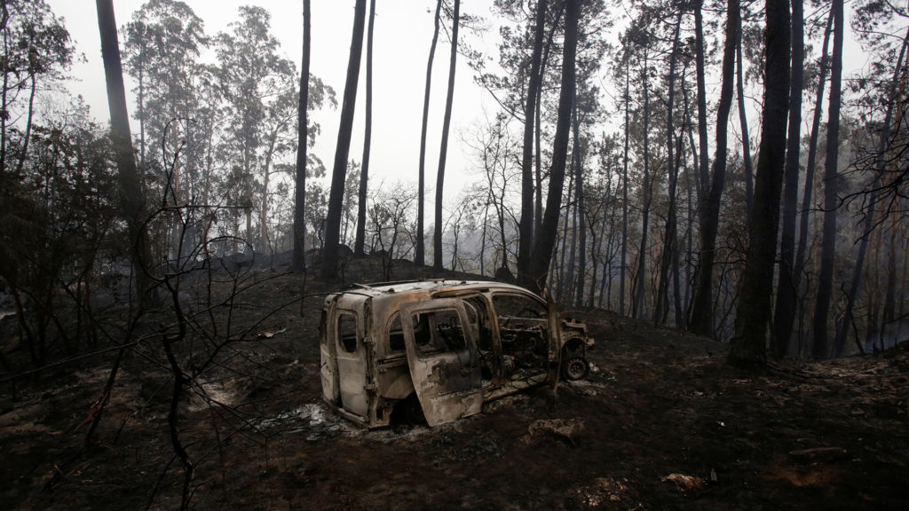La Xunta aprueba medidas para ayudar a los afectados por los incendios 3