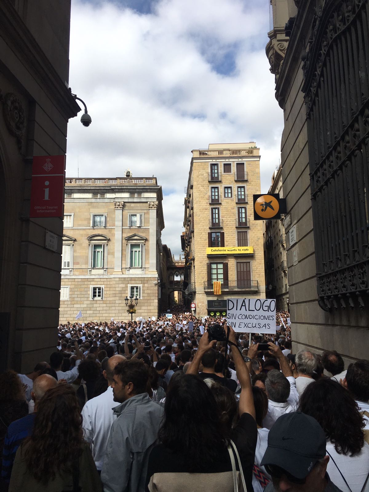 Las manifestaciones a favor del diálogo y la unidad de España, en imágenes 10