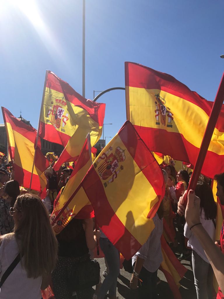 Las manifestaciones a favor del diálogo y la unidad de España, en imágenes 1
