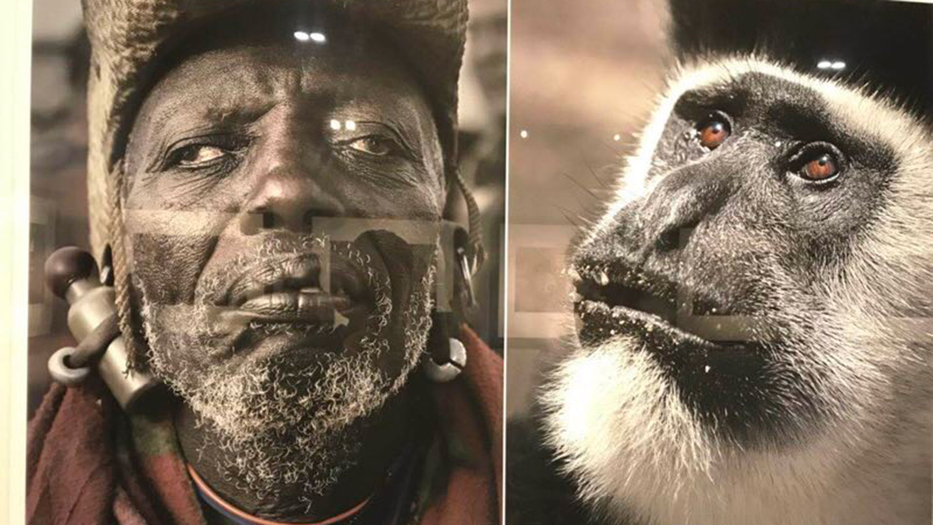 Las redes sociales estallan contra un museo que compara africanos con animales
