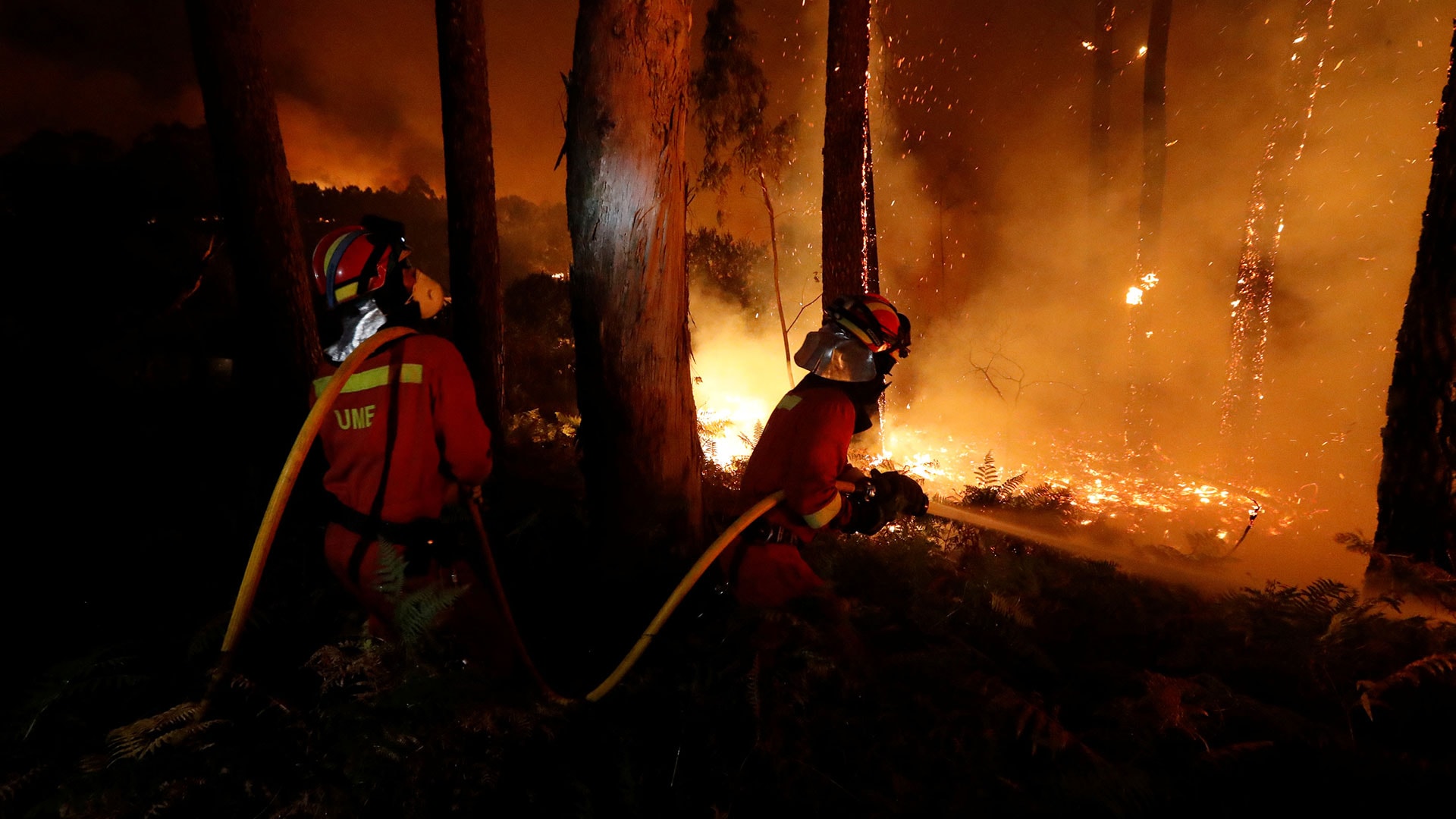 Los incendios de Galicia y Asturias, en imágenes 4