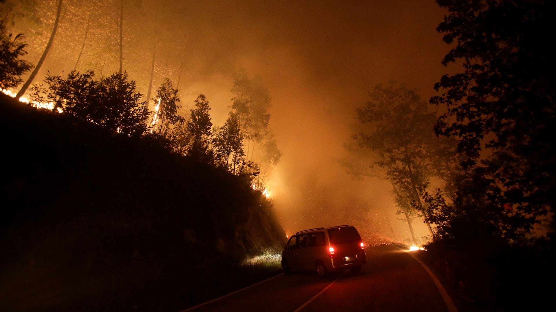 Los incendios de Galicia y Asturias, en imágenes 8