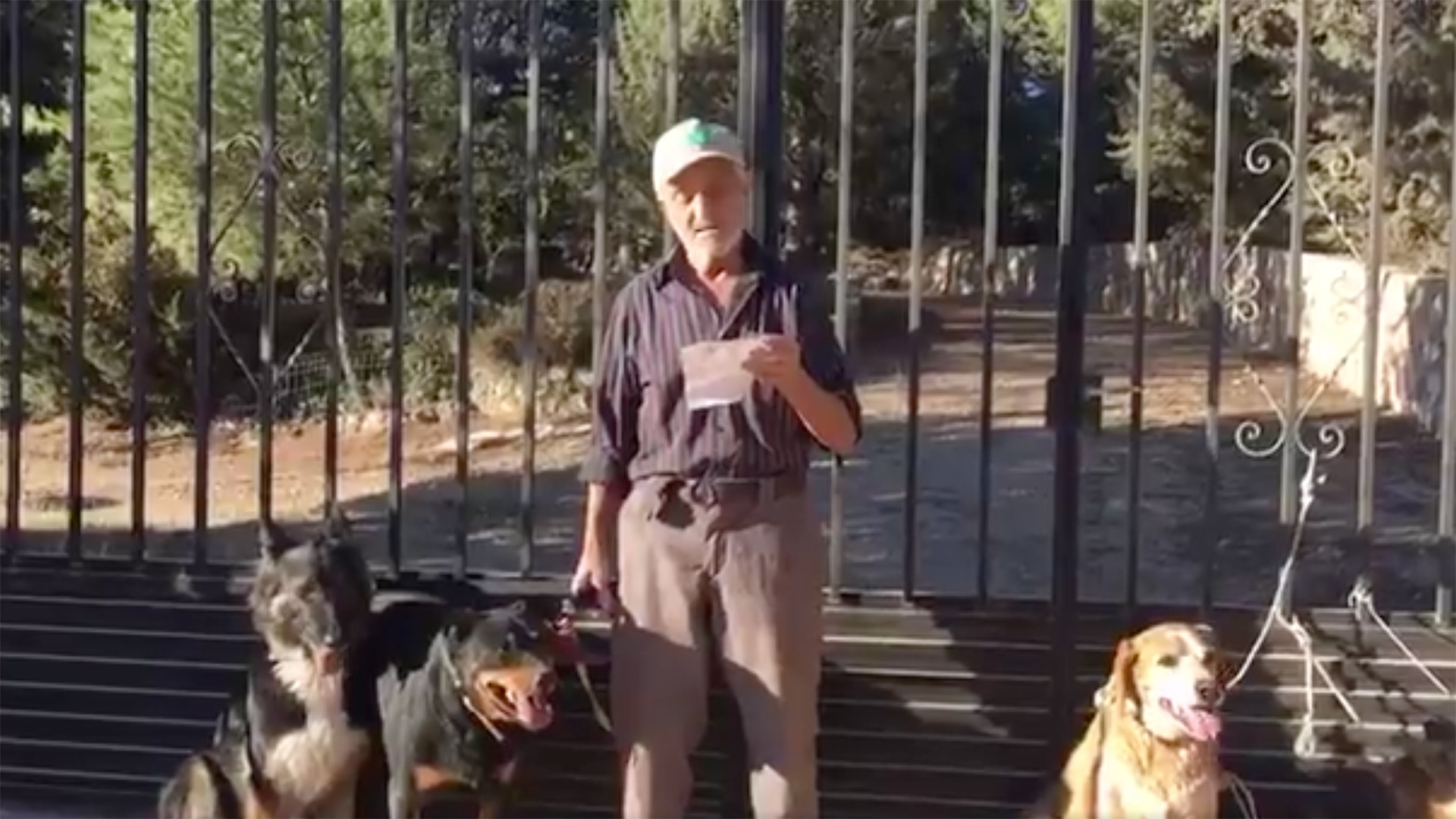 Santiago, el abuelo con cáncer que busca familia para sus seis perros