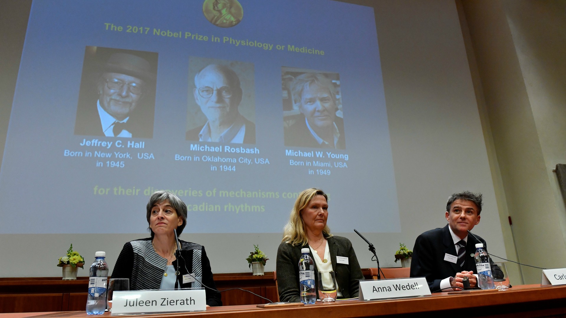Tres estadounidenses, galardonados con el Nobel de Medicina por sus estudios del "reloj biológico"