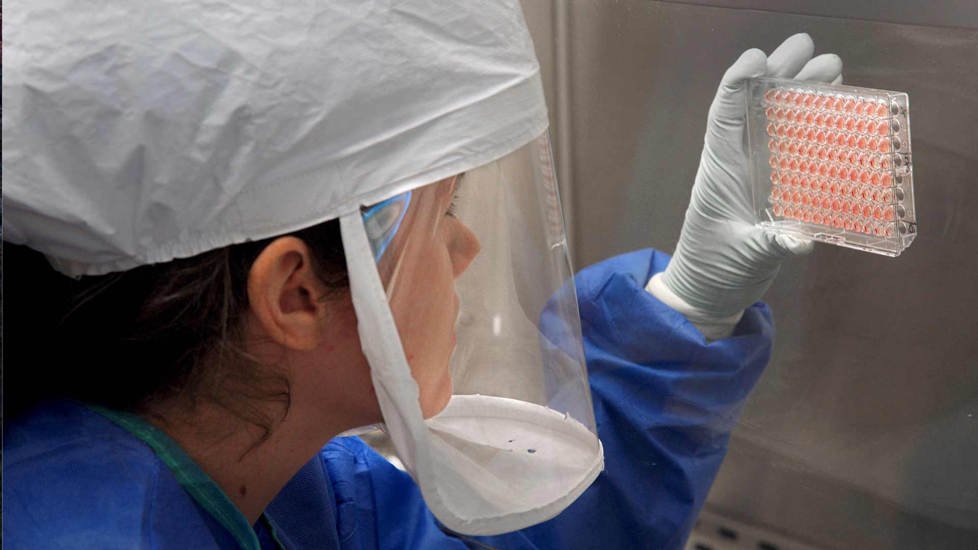 Un simulador de pandemias de gripe combate las nuevas amenazas víricas